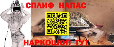 крисы Нальчик