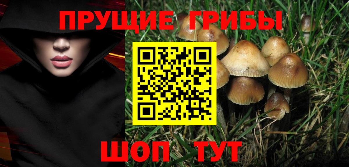 Галлюциногенные грибы Magic Shrooms  Вход с VPN  Тихвин 