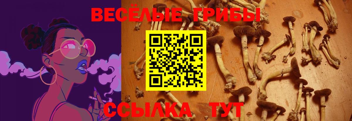Псилоцибиновые грибы ЛСД Тихвин
